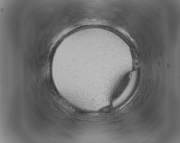 X0000066941167200604211742