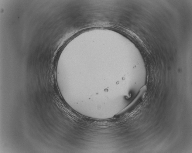 X0000066941168200604211742