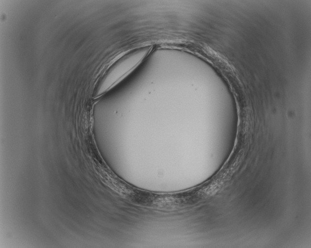 X0000066941169200604211742