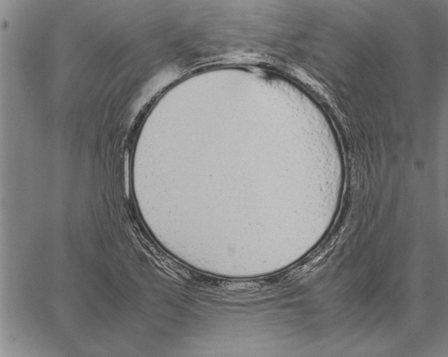 X0000066941171200604211742