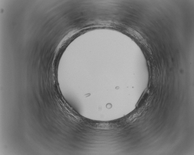 X0000066941172200604211742