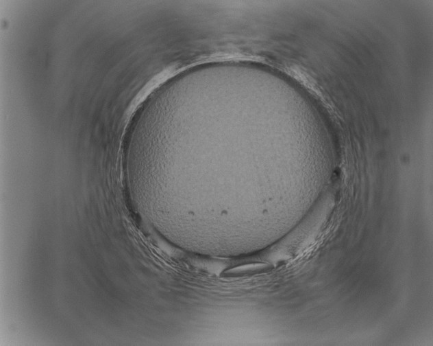 X0000066941173200604211742