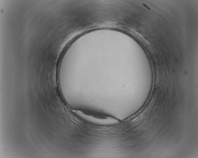 X0000066941174200604211742