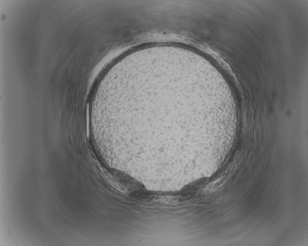 X0000066941175200604211742