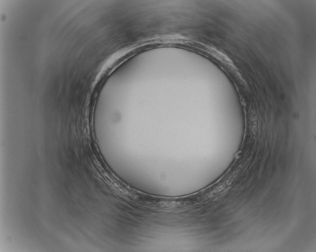 X0000066941176200604211742