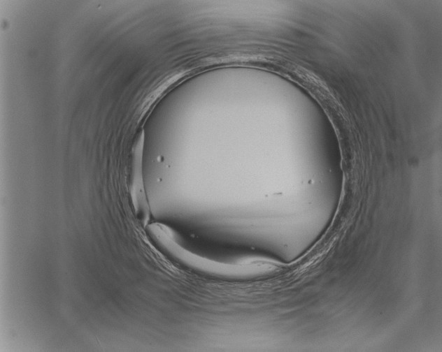 X0000066941177200604211742