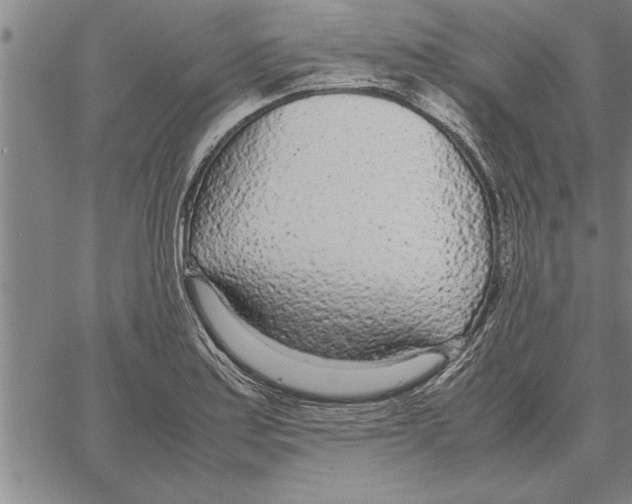 X0000066941179200604211742