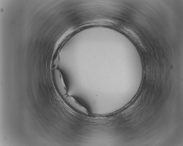 X0000066941180200604211742