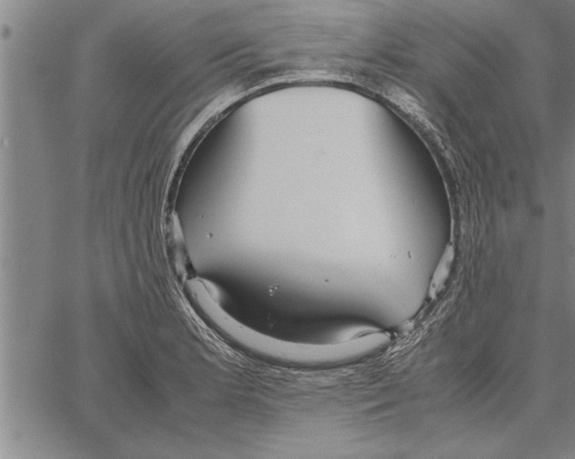 X0000066941181200604211742