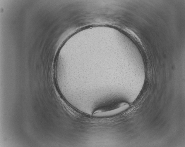 X0000066941183200604211742