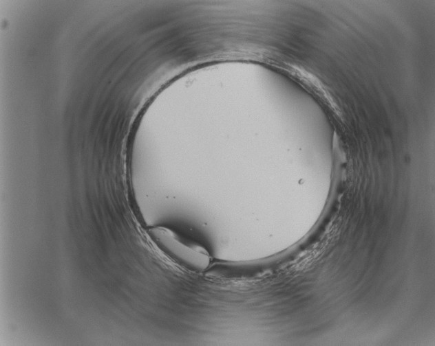 X0000066941184200604211742