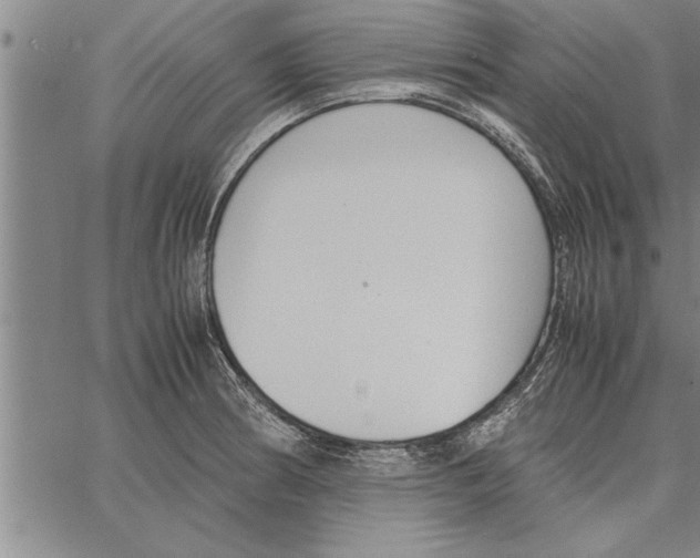 X0000066941186200604211742