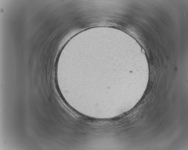 X0000066941187200604211742