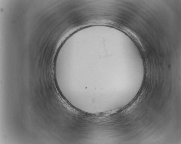 X0000066941192200604211742