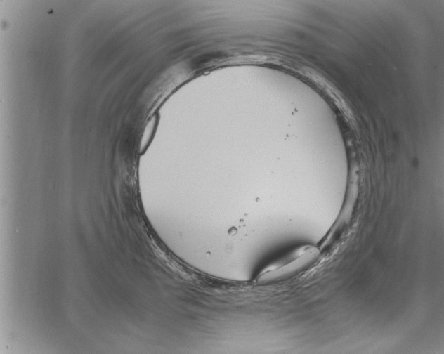 X0000066941193200604211742