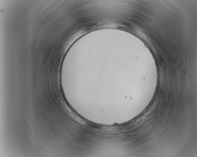 X0000066941194200604211742