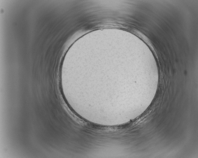 X0000066941195200604211742