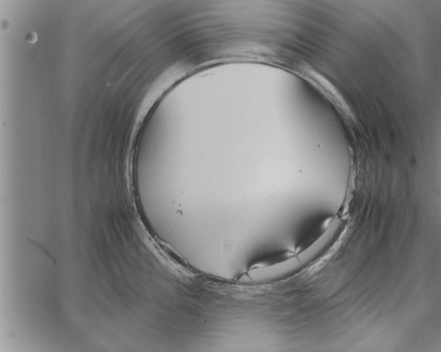 X0000066941196200604211742