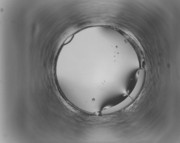 X0000066941197200604211742