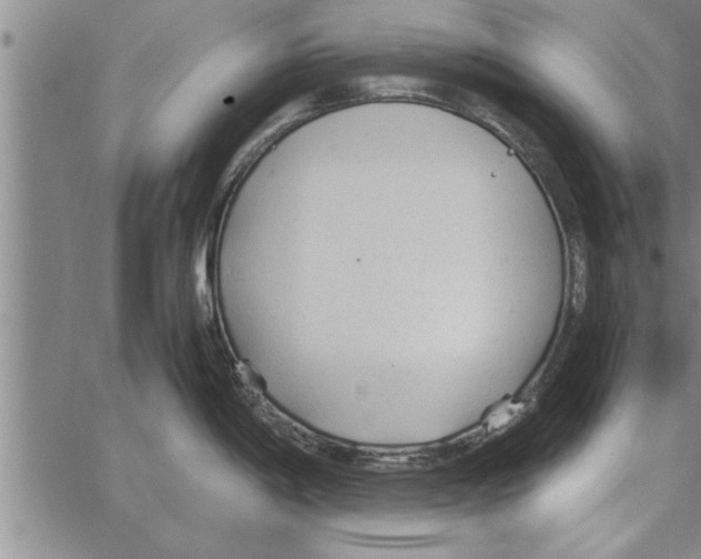 X0000066941198200604211742