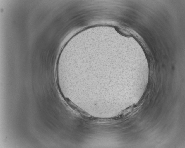 X0000066941199200604211742