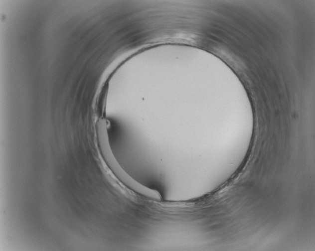 X0000066941200200604211742