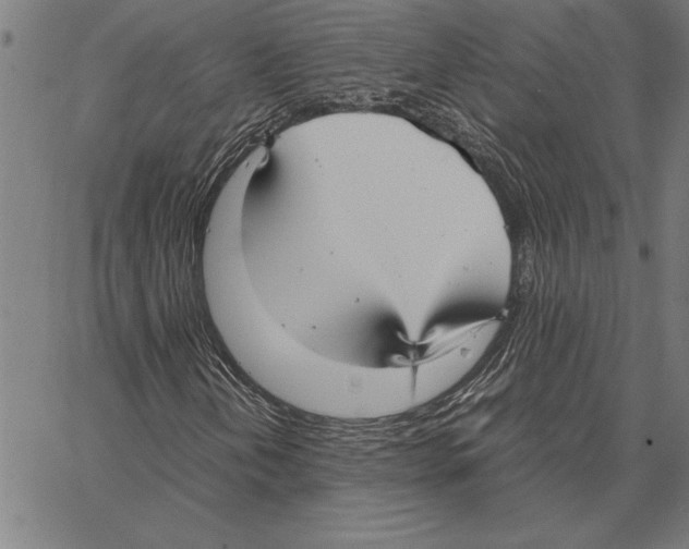 X0000066941202200604211741