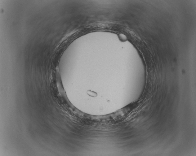 X0000066941206200604211741