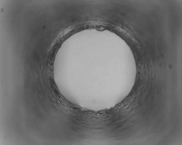 X0000066941207200604211741