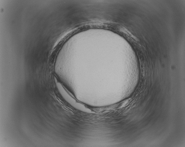 X0000066941208200604211741