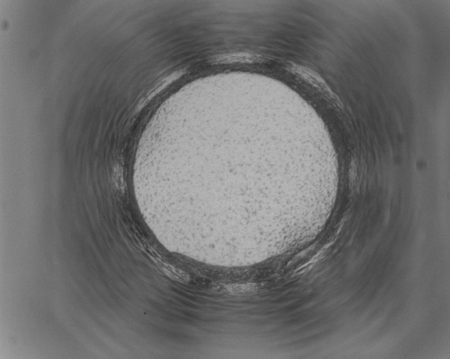 X0000066941209200604211741