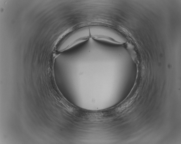 X0000066941210200604211741