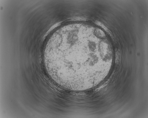 X0000066941213200604211741