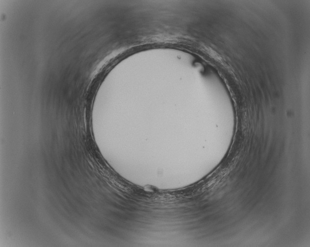 X0000066941214200604211741