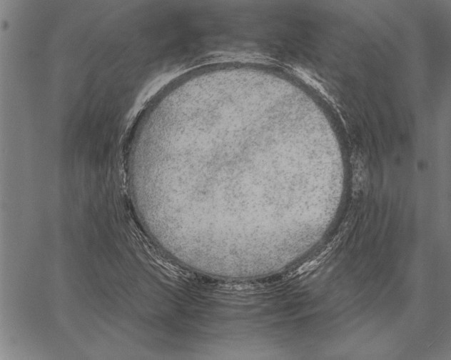 X0000066941215200604211741