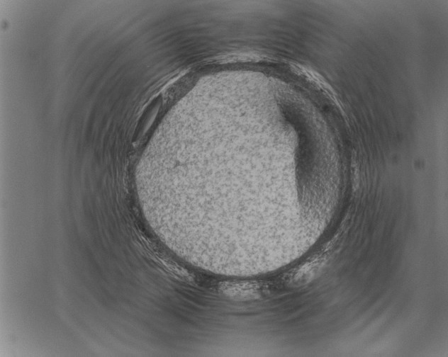 X0000066941217200604211741