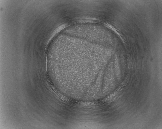 X0000066941219200604211741