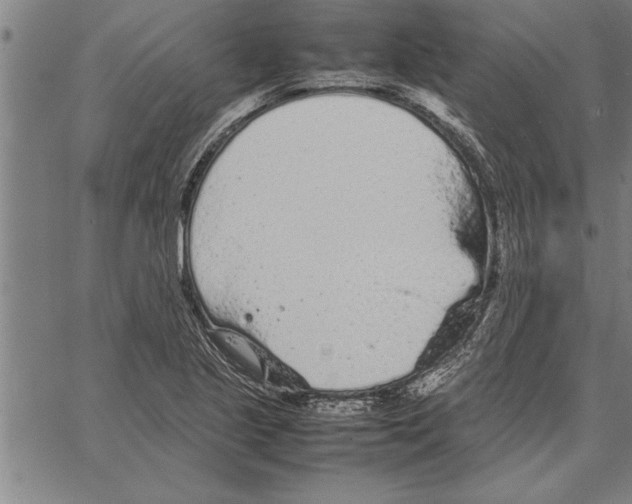 X0000066941221200604211741