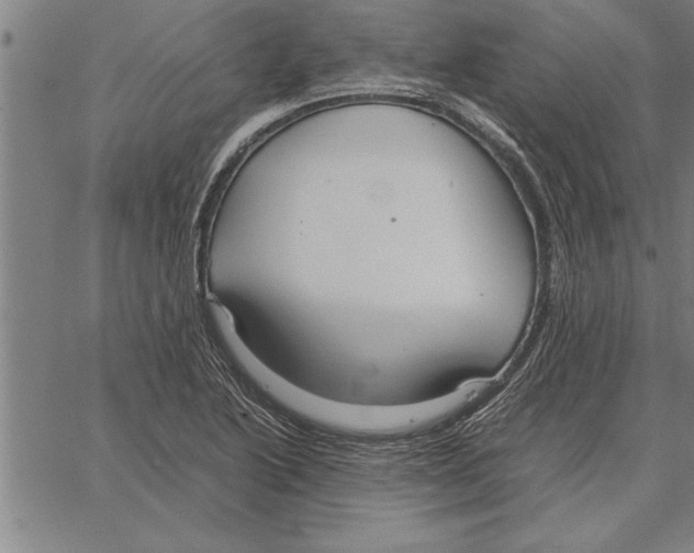 X0000066941222200604211741