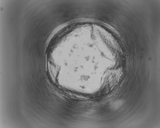 X0000066941223200604211741