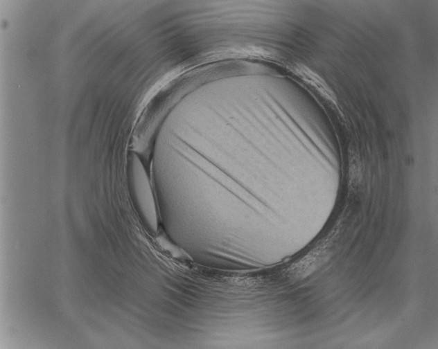 X0000066941226200604211741