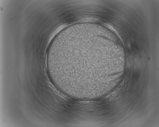 X0000066941227200604211741