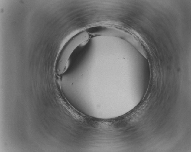 X0000066941230200604211741