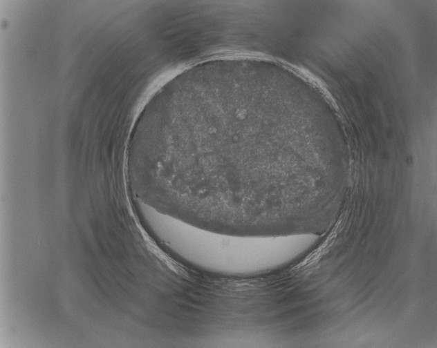 X0000066941231200604211741