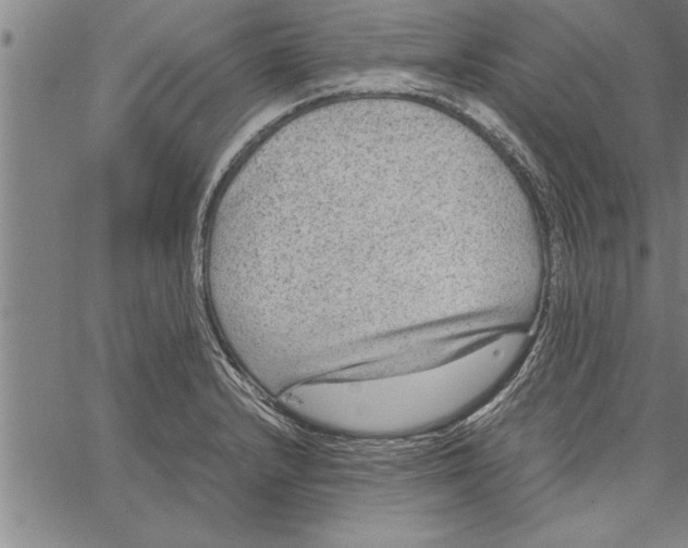 X0000066941232200604211741