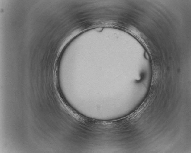 X0000066941235200604211742