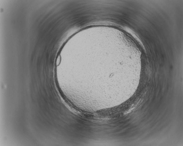 X0000066941237200604211742