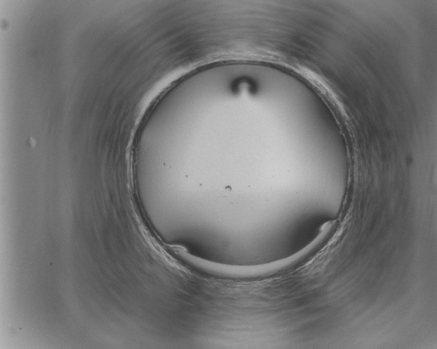 X0000066941238200604211742