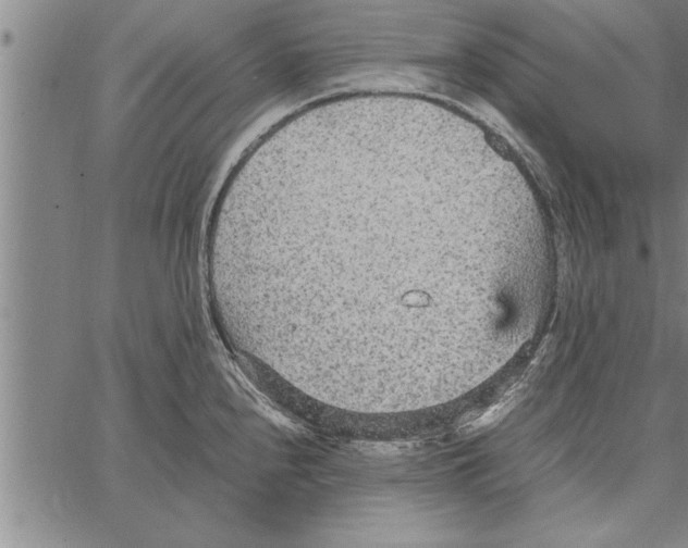 X0000066941240200604211742