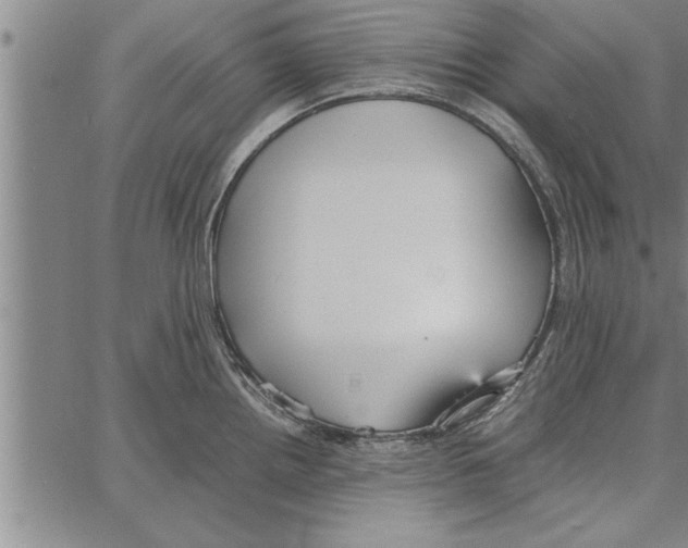 X0000066941242200604211742